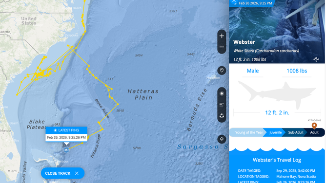 Webster's track from Nova Scotia down to the open Atlantic off Florida's Coast.