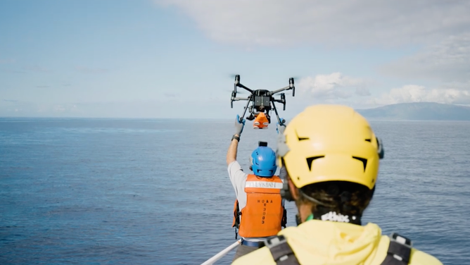 The team drops uses a drone to drop a tracker onto a whale's back.