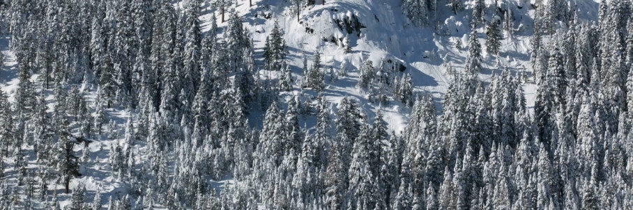 8 skiers found dead, 1 still missing after Sierra Nevada avalanche amid extreme weather conditions
