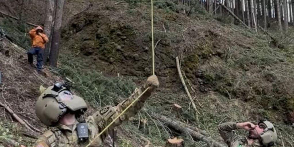 Army of rescuers save man pinned under a fallen tree in Mount Hood National Forest