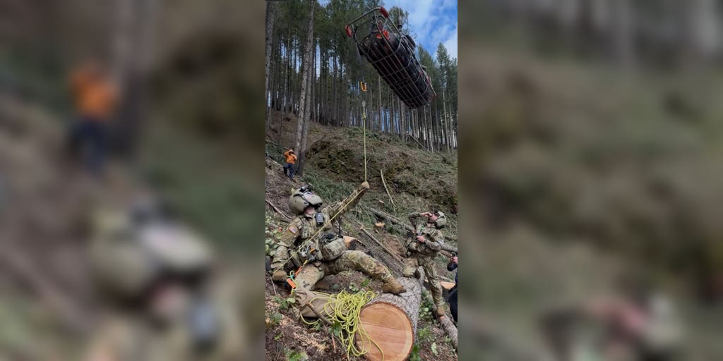 Army of rescuers save man pinned under a fallen tree in Mount Hood National Forest