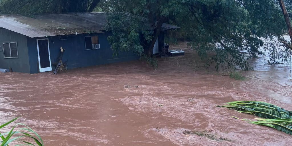 U.S. Coast Guard rescues 7 people and a dog after the worst flooding in 20 years hits Hawaii