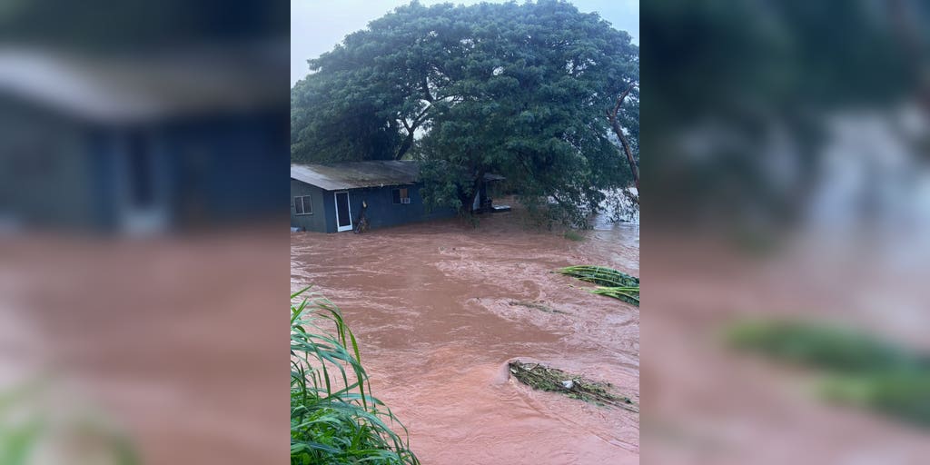 U.S. Coast Guard rescues 7 people and a dog after the worst flooding in 20 years hits Hawaii