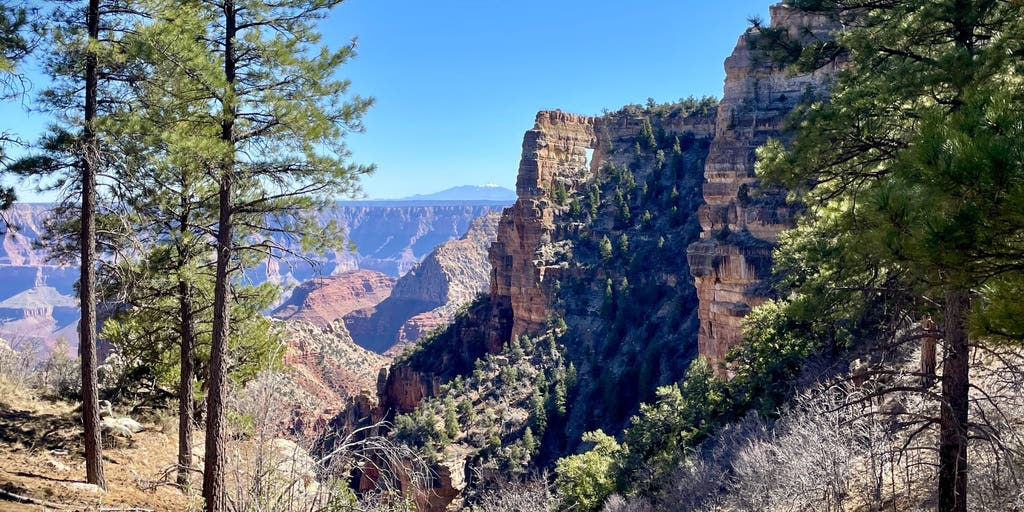 Grand Canyon National Park announces North Rim reopening as Dragon Bravo Fire recovery continues