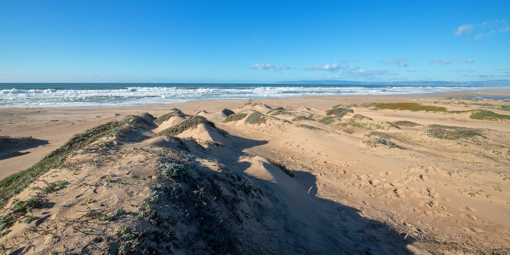 Here are 10 of the best beaches in the US for digital detoxing