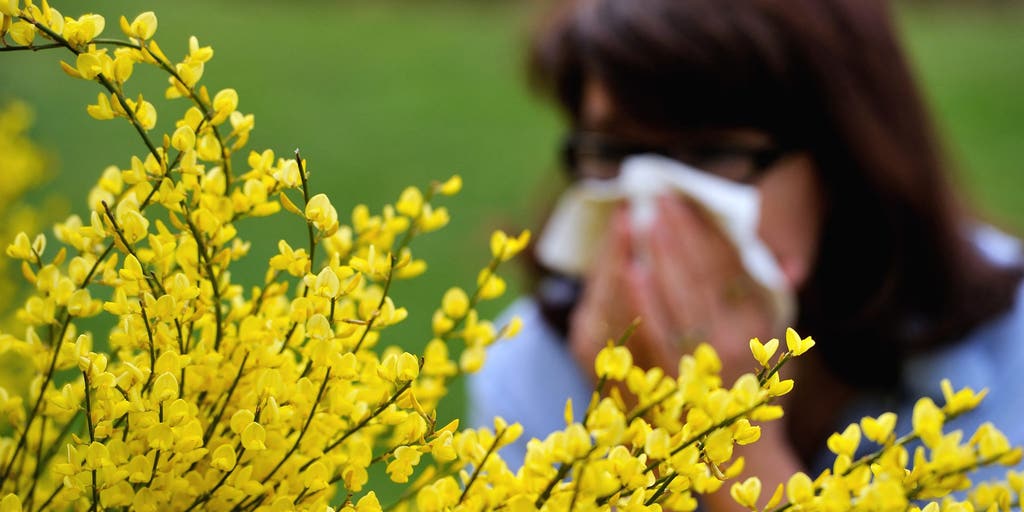 Allergy season is worse than ever. Here are the 10 worst allergy capitals in the US for 2026