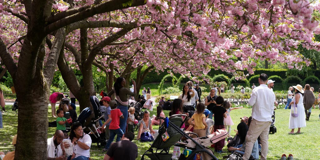 Vernal equinox marks the official start of spring for the Northern ...