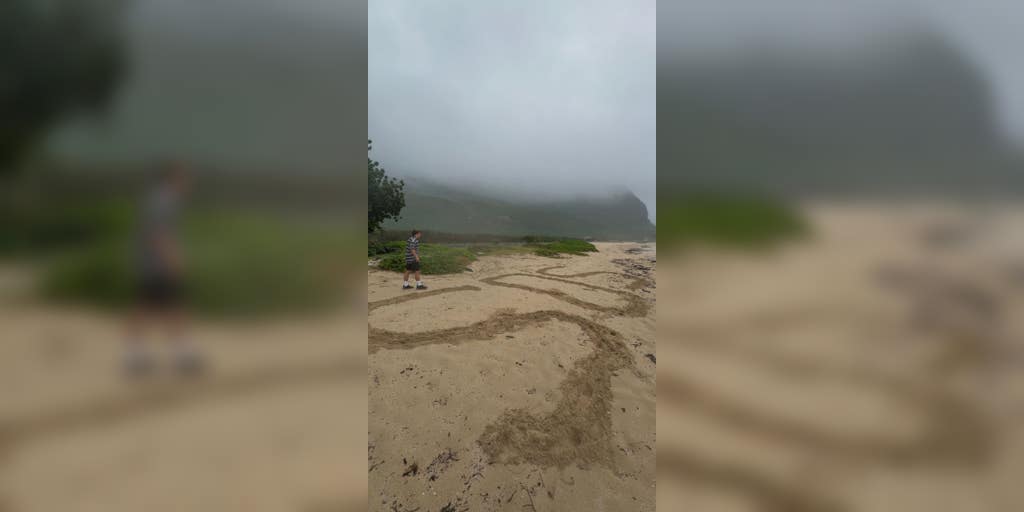 Couple recounts being stranded on beach for 24 hours during catastrophic Hawaii flooding