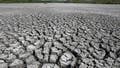 How El Ni&ntilde;o could help bust Florida's historic drought, despite limited short-term relief - Fox News