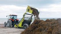 Record-amounts of sargassum flood Miami's beaches sparking the search for a new solution