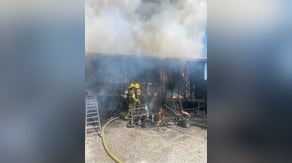 Video: Brave firefighters rescue family dog in destructive house fire in Louisiana