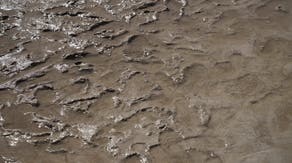 What is quicksand and what to do if you become stuck?