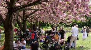 Vernal equinox marks the official start of spring in the Northern Hemisphere