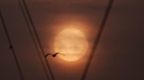 Blood rain, a rare weather phenomenon, falls across southern Europe