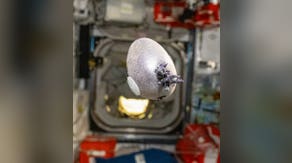 See it: NASA astronaut shares photo of egg-shaped object with tentacles growing on International Space Station