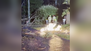 Watch: Lightning strike sparks fire, explodes tree, and ruptures gas and water main in New South Wales
