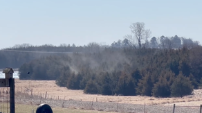 See it: Explosion of pollen mistaken for grass fire on windy day in Iowa