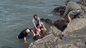 Video: Father and daughter heroically rescued by swim coach in rip current in California