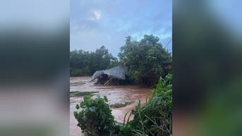 Hundreds rescued, thousands of evacuations ordered in Hawaii as worst flooding in two decades continues - Fox News