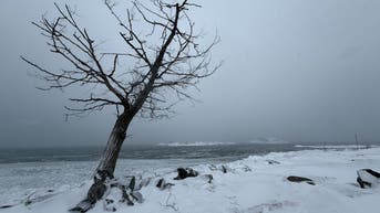 Split in the Polar Vortex could mean one last hurrah for winter across the Northern Tier - Fox News