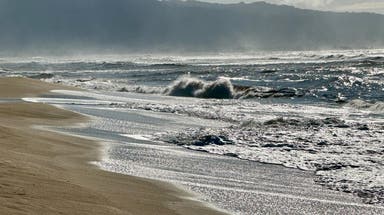 Couple recounts being stranded on beach for 24 hours during catastrophic Hawaii flooding