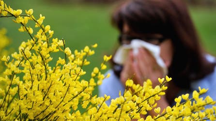 Relentless allergy symptoms are here to stay due to long-lasting spring in the US