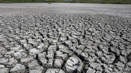How El Niño could help bust Florida's historic drought, despite limited short-term relief