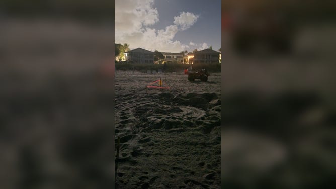 A leatherback sea turtle nest marked and barricaded on a beach in Delray Beach, Florida on March 4, 2026.