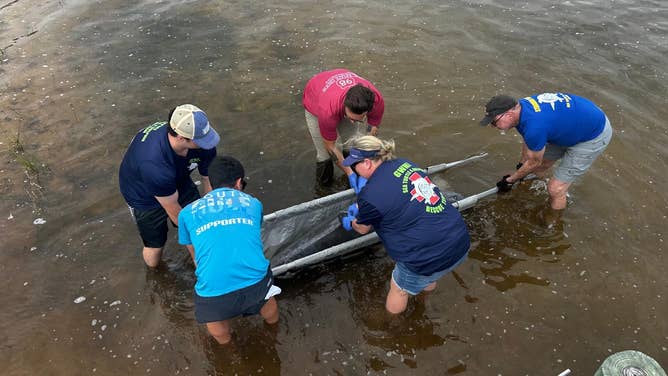 The Florida Panhandle Marine Institute prepares to move a dead, stranded dolphin from shallow waters on March 15.