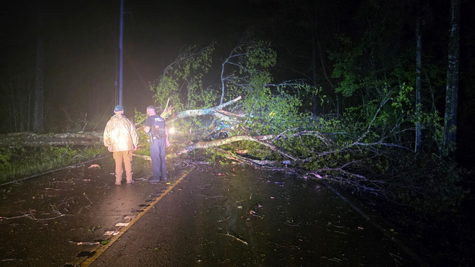 Severe storms tore down trees in Tangipahoa Parish, Louisiana Wednesday night.
