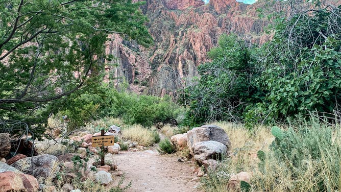 Grand Canyon National Park is seen near the Bright Angel Campground in Arizona, United States on June 21, 2019.