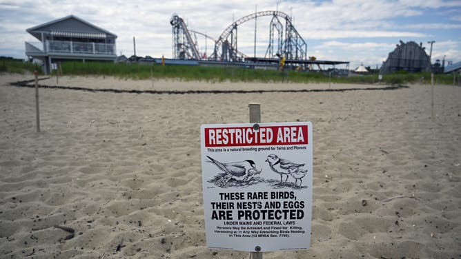 OLD ORCHARD BEACH, ME - June 29: A restricted area near Piping Plover nests on the Beach in Old Orchard Beach Saturday, June 29, 2019.