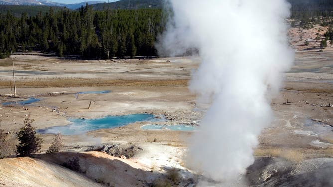 Norris Geyser Basin. Yellowstone National Park. Wyoming. United States of America
