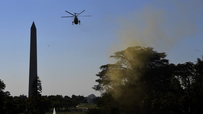 Pollen is blown out of a tree as Marine One flies over it at the White House in Washington, DC, October 7, 2022