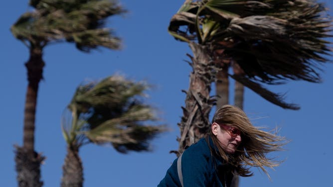 Huntington Beach, CA - February 22: Palm trees and persons hair are blown along with sand and gusty cold wind while feeding squirrels in Huntington Beach Wednesday, Feb. 22, 2023.