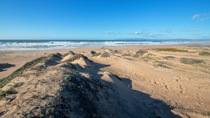 Sand dunes between Pacific ocean and the Santa Maria river at the Rancho Guadalupe Sand Dunes Preserve on the central coast of California United States