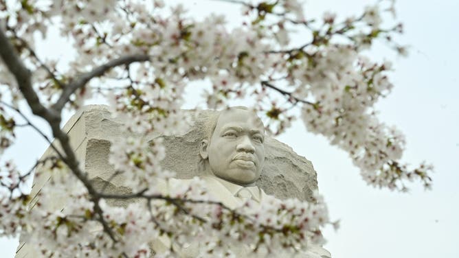 WASHINGTON, DC - MARCH 29: The Rev. Dr. Martin Luther King Jr. memorial surrounded by cherry blossom trees as the cherry blossoms hit peak bloom on March 29, 2025 in Washington, DC. 