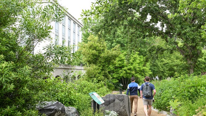 WASHINGTON, DC MAY 27: The Smithsonian Pollinator Garden in full spring bloom in Washington, D.C., United States, on May 27, 2025