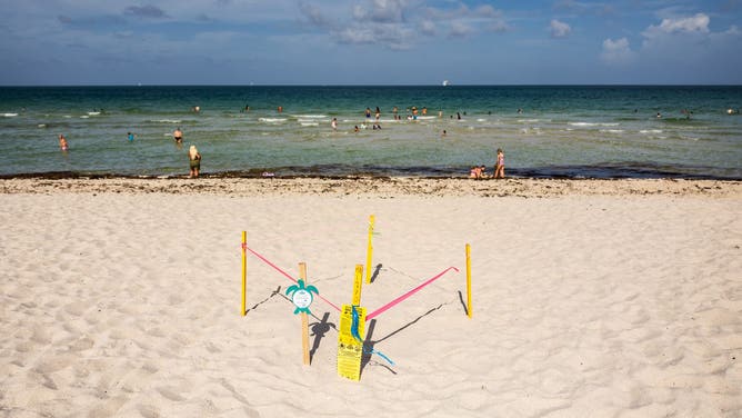 Protection of a sea turtle nest with logo and pink ribbon on the beach facing the Atlantic Ocean in Miami Beach in the state of Florida in the United States of America (USA) on July 27, 2025