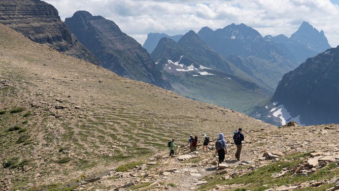 Periglacial patterned ground, stone stripes, Glacier National Park, Montana.