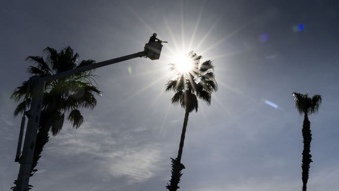 MISSION VIEJO, CA - March 16: Workers trim palm trees in the morning heat in Mission Viejo, CA on Monday, March 16, 2026.