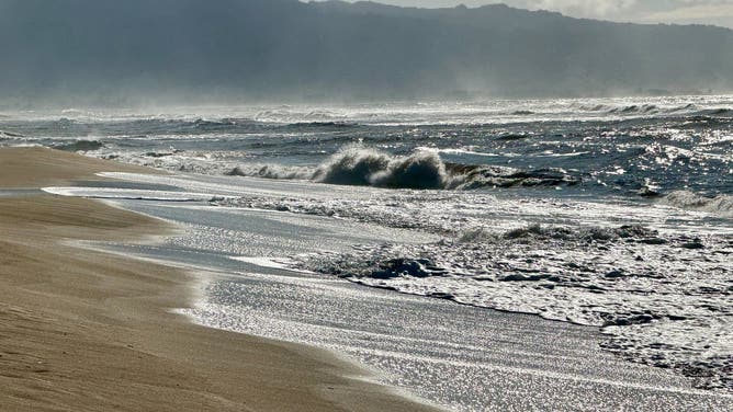 Photo of waves crashing in Hawaii on the beach