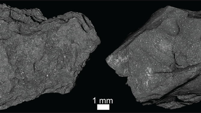Exterior images of Bennu's samples examined under X-Ray CT. 