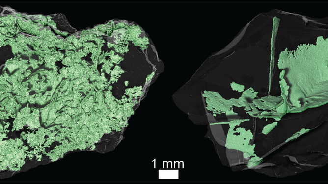 Internal structure of Bennu's samples taken via X-ray CT. 
