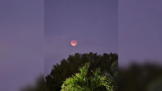 Blood Moon captured in Miami, FL, March 3, 2026