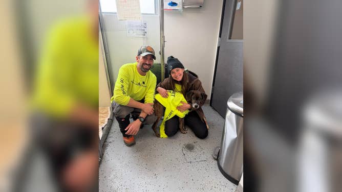 Summit Lost Pet Rescue helps find Rocky the dog after being alone in the wilderness for 43 days 