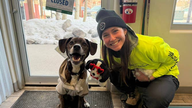 Summit Lost Pet Rescue helps find Rocky the dog after being alone in the wilderness for 43 days