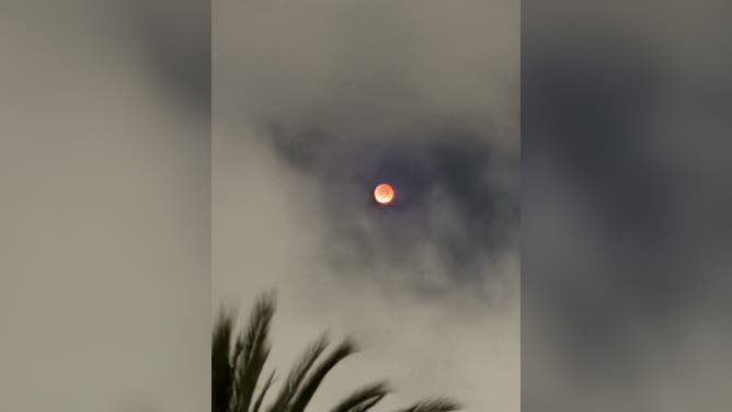 Blood Moon captured in Vista, CA, March 3, 2026
