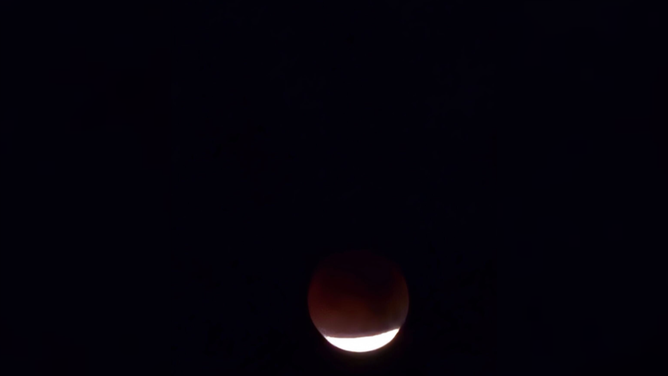 Rising Blood Moon captured in Boynton Beach, FL, March 3, 2026