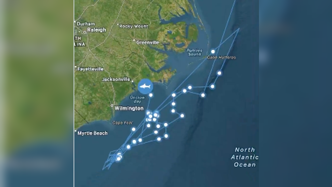 Cayo's movements on the OCEARCH Global Shark Tracker shows her very close beach off North Carolina. 
